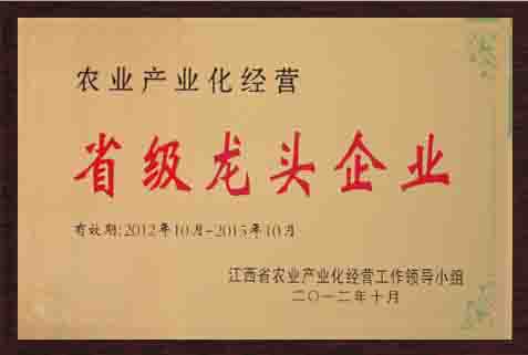 省级龙头企业